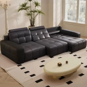 Lawrence electric function leather sofa